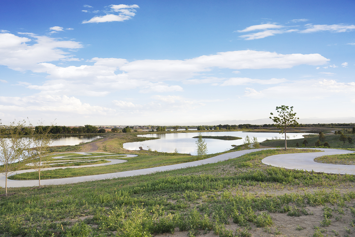 Walking path winding through grassy field with ponds nearby